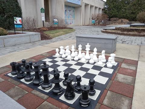 giant chess board