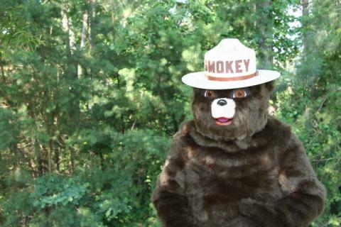 Smokey Bear in woods