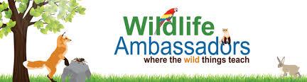 Wildlife Ambassadors logo