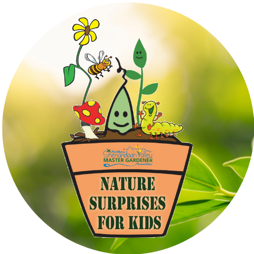 Nature Surprises Badge